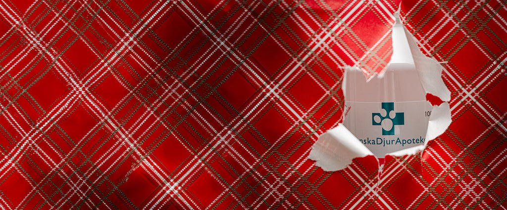 Glem ikke hundens julegave